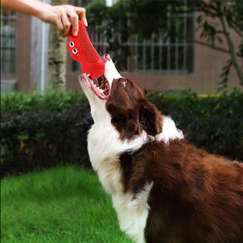 Vocal Rugby Pet Toys: The Ultimate Chew Toy for Your Furry Friend
